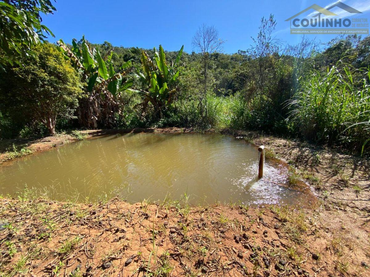 WhatsApp Image 2025-04-08 at 14.20.37.jpeg